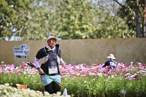 BIB: 
                            <button type="button" onclick="openModal(27804744)" class="btn btn-primary btn-sm float-right btn-popup" data-toggle="modal" data-target=".modal-high-quality">
                        <i class="fas fa-shopping-cart"></i> Add to Cart
                    </button>
                                            <button type="button" onclick="isThisMe(27804744, true)" class="btn btn-success btn-sm float-right btn-popup btn-isme hidden" data-toggle="tooltip" data-placement="bottom" title="นี่คือรูปของคุณใช่ไหม คลิกที่นี่เพื่อเอาเข้าอัลบั้ม">
                        <i class="fas fa-plus"></i> Add to album
                    </button>
                    <button type="button" onclick="isThisMe(27804744, false)" class="btn btn-warning btn-sm float-right btn-popup btn-isnotme hidden">
                        <i class="fas fa-ban"></i> Remove from album
                    </button>